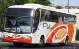 Viação Platina 6070 na cidade de Araxá, Minas Gerais, Brasil, por Lucas Borges . Número da foto: #5892519.