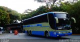 Viação Novo Horizonte 807811 na cidade de São Paulo, São Paulo, Brasil, por Roberto Teixeira. Número da foto: #5895390.