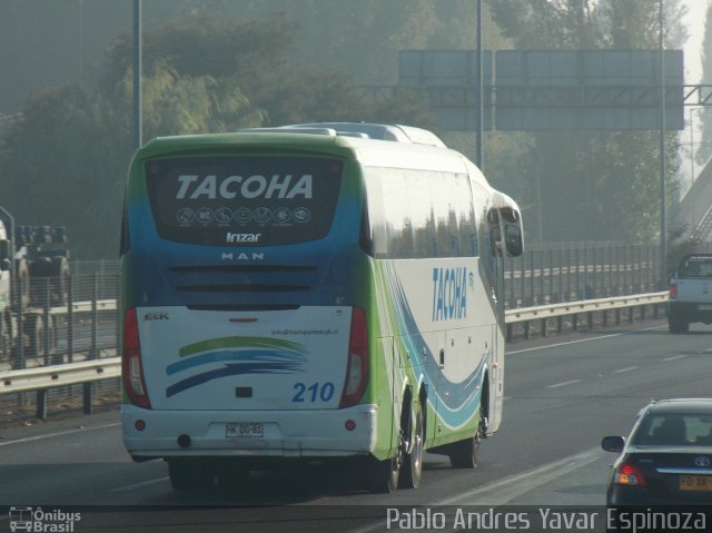 Tacoha 210 na cidade de Rengo, Cachapoal, Libertador General Bernardo O'Higgins, Chile, por Pablo Andres Yavar Espinoza. ID da foto: 5897139.