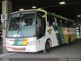 Empresa Gontijo de Transportes 3165 na cidade de Belo Horizonte, Minas Gerais, Brasil, por Carlos  Henrique. Número da foto: #5896928.