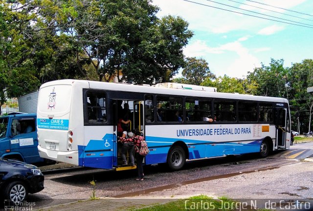 UFPA - Universidade Federal do Pará 02 na cidade de Belém, Pará, Brasil, por Carlos Jorge N.  de Castro. Número da foto: #5900645.