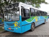 Nova Transporte 22078 na cidade de Cariacica, Espírito Santo, Brasil, por Danilo Moraes. Número da foto: #5905078.