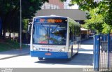 Grupo Serveng - Serveng Transportes 37061 na cidade de São Paulo, São Paulo, Brasil, por Roberto Teixeira. Número da foto: #5907361.