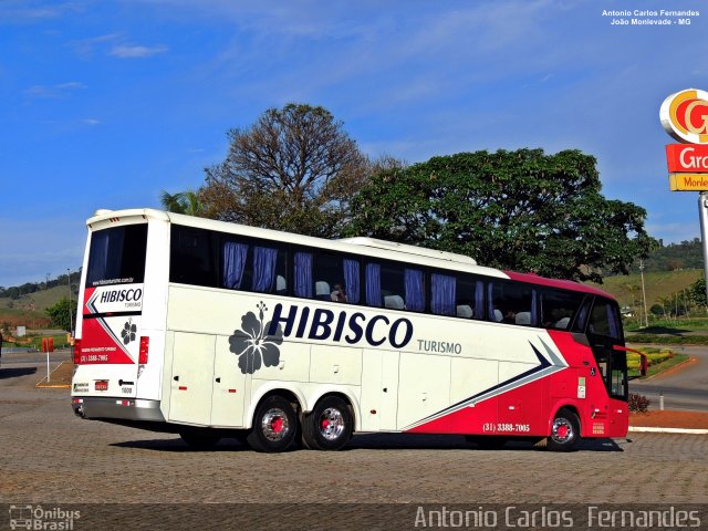 Hibisco Turismo 1000 na cidade de João Monlevade, Minas Gerais, Brasil, por Antonio Carlos Fernandes. Número da foto: #5852120.