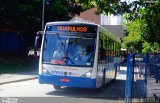 Grupo Serveng - Serveng Transportes 37012 na cidade de São Paulo, São Paulo, Brasil, por Roberto Teixeira. Número da foto: #5909317.