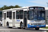 Tercon Logística e Transporte 1190 na cidade de Vitória, Espírito Santo, Brasil, por Franz Hecher. Número da foto: #5908718.