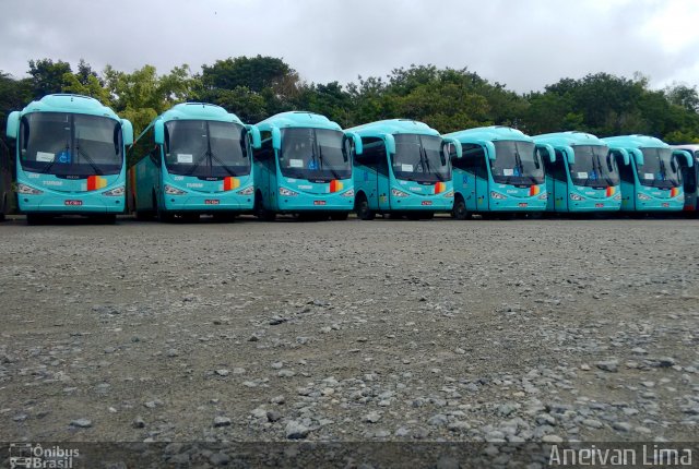 Turim Transportes e Serviços Frota  na cidade de Camaçari, Bahia, Brasil, por Aneivan Lima. ID da foto: 5859065.