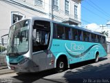 Rosa Turismo 13190 na cidade de Petrópolis, Rio de Janeiro, Brasil, por Zé Ricardo Reis. Número da foto: #5863028.