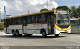 Empresa Metropolitana 315 na cidade de Recife, Pernambuco, Brasil, por Felipe Luiz. Número da foto: #5863540.