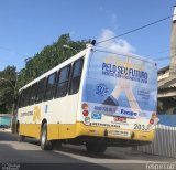 Empresa Metropolitana 203 na cidade de Recife, Pernambuco, Brasil, por Felipe Luiz. Número da foto: #5863546.
