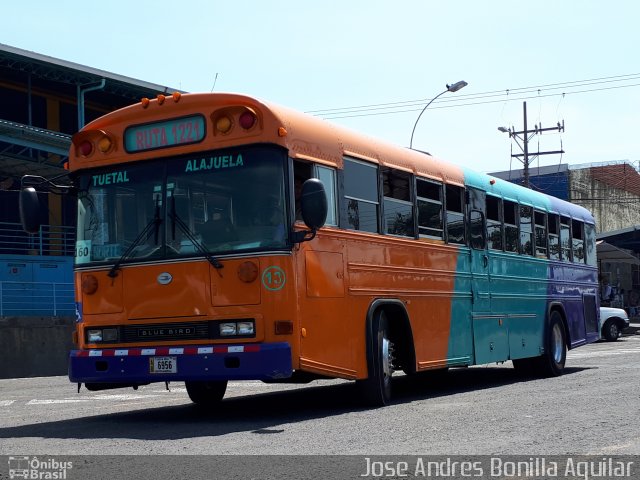 Transportes López  na cidade de , por Jose Andres Bonilla Aguilar. ID da foto: 5931042.