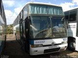 Bagdad Turismo 9335 na cidade de Caeté, Minas Gerais, Brasil, por Douglas Célio Brandao. Número da foto: #5930892.