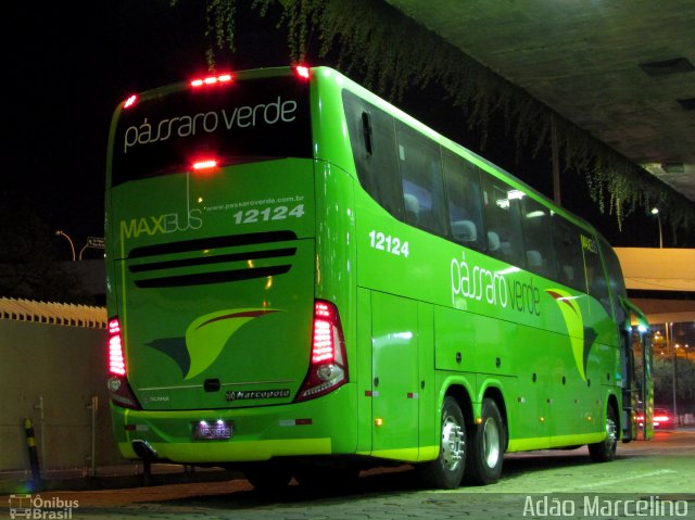 Pássaro Verde 12124 na cidade de Belo Horizonte, Minas Gerais, Brasil, por Adão Raimundo Marcelino. Número da foto: #5938671.