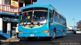 Buses San Miguel Higuito BUSMI SJB 8666 na cidade de , por Andrés Martínez Rodríguez. Número da foto: #5937937.