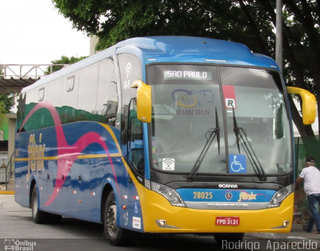 Rápido Expresso Fênix Viação 28025 na cidade de São Paulo, São Paulo, Brasil, por Rodrigo  Aparecido. Número da foto: #5942275.