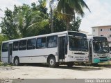 Ônibus Particulares 6609 na cidade de Abreu e Lima, Pernambuco, Brasil, por Diego Rhamon Reis da Silva. Número da foto: #:id.