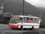 Viação Bom Jesus > VTL - Viação Trans Líder 345 na cidade de Cubatão, São Paulo, Brasil, por Adam Xavier Rodrigues Lima. Número da foto: #5942960.