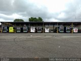 Viação Garcia 8802 na cidade de Campinas, São Paulo, Brasil, por Julio Medeiros. Número da foto: #5945097.