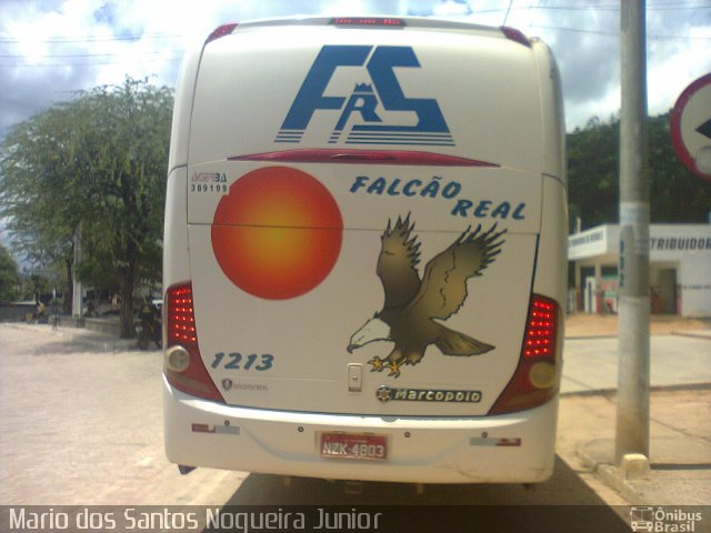 Falcão Real 1213 na cidade de Piritiba, Bahia, Brasil, por Mario dos Santos Nogueira Junior. Número da foto: #5913356.