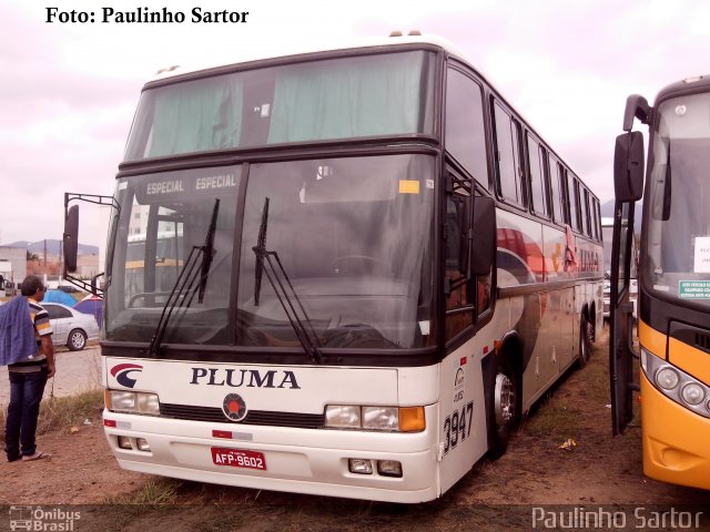 Pluma Conforto e Turismo 3947 na cidade de Camboriú, Santa Catarina, Brasil, por Paulinho Sartor. Número da foto: #5950008.