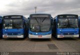 VB Transportes e Turismo 1577 na cidade de Campinas, São Paulo, Brasil, por Jonathan  Aguiar Correa. Número da foto: #5951661.