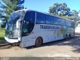 Transbrasiliana Transportes e Turismo 4175 na cidade de Goiânia, Goiás, Brasil, por Fernando Fernandes. ID da foto: :id.