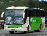 Pássaro Verde 27010 na cidade de Manhuaçu, Minas Gerais, Brasil, por Saimom  Lima. Número da foto: #5955065.