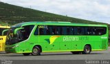 Pássaro Verde 15136 na cidade de Manhuaçu, Minas Gerais, Brasil, por Saimom  Lima. Número da foto: #5955058.