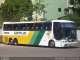 Empresa Gontijo de Transportes 5820 na cidade de João Monlevade, Minas Gerais, Brasil, por Christian  Fortunato. Número da foto: #5956687.