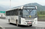 Ônibus Particulares TOT-02 na cidade de Cubatão, São Paulo, Brasil, por Ricardo Luiz. Número da foto: #5962661.