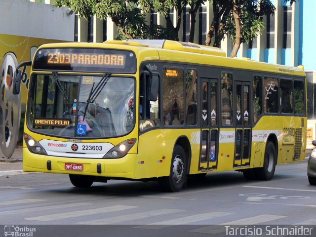 Viação Pioneira 223603 na cidade de Brasília, Distrito Federal, Brasil, por Tarcisio Schnaider. ID da foto: 5969497.