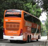 RealMaia Turismo e Cargas 1506 na cidade de São Paulo, São Paulo, Brasil, por Rodrigo  Aparecido. Número da foto: #5970112.