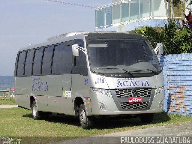 Acácia Turismo 2018 na cidade de Guaratuba, Paraná, Brasil, por Paulobuss  Guaratuba. Número da foto: #5917005.