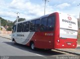 Rouxinol 1602 na cidade de Ibirité, Minas Gerais, Brasil, por Bruno Silva Souza. Número da foto: #:id.