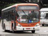 TRANSPPASS - Transporte de Passageiros 8 1059 na cidade de São Paulo, São Paulo, Brasil, por Rodrigo  Aparecido. ID da foto: :id.