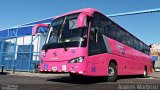 TRACOPA - Transportes Costarricenses Panameños 36 na cidade de , por Andrés Martínez Rodríguez. Número da foto: #5923088.