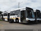 Companhia Carris Porto-Alegrense 0637 na cidade de Porto Alegre, Rio Grande do Sul, Brasil, por Jessica Rodrigues. Número da foto: #5925467.