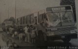 Viação Icoaraciense 184 na cidade de Belém, Pará, Brasil, por Lucas Jacó. Número da foto: #5925100.