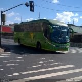 Pássaro Verde 15129 na cidade de Belo Horizonte, Minas Gerais, Brasil, por Paulo Julian. Número da foto: #5927163.