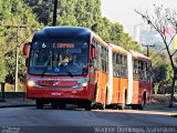 Araucária Transportes Coletivos LE710 na cidade de Curitiba, Paraná, Brasil, por Wagner Domingos Ivanesken. Número da foto: #5928356.