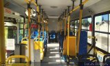 Ação Transportes e Turismo 205 na cidade de Mongaguá, São Paulo, Brasil, por Lucas Borges da Silva. Número da foto: #:id.