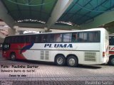 Pluma Conforto e Turismo 3942 na cidade de Joinville, Santa Catarina, Brasil, por Paulinho Sartor. Número da foto: #5928598.