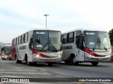 Rouxinol 1420 na cidade de Belo Horizonte, Minas Gerais, Brasil, por Adão Raimundo Marcelino. Número da foto: #5990592.