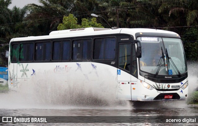 Van Tur Executivo OTX1368 na cidade de Belém, Pará, Brasil, por acervo digital. ID da foto: 5996452.