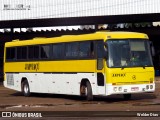 Japiaçu 023 na cidade de Peritoró, Maranhão, Brasil, por Welder Dias. Número da foto: #5996049.