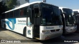Transturismo Turismo e Fretamento 650 na cidade de , por Walcyrio Ramos. Número da foto: #5997729.