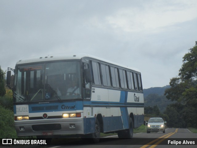 Citral Transporte e Turismo 2001 na cidade de Nova Petrópolis, Rio Grande do Sul, Brasil, por Felipe Alves. ID da foto: 5998962.