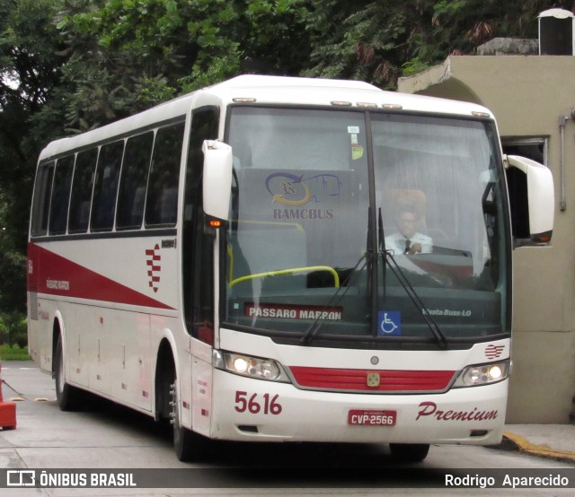 Empresa de Ônibus Pássaro Marron 5616 na cidade de São Paulo, São Paulo, Brasil, por Rodrigo  Aparecido. ID da foto: 6000502.