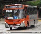 TRANSPPASS - Transporte de Passageiros 8 1137 na cidade de São Paulo, São Paulo, Brasil, por Rodrigo  Aparecido. Número da foto: #6000671.