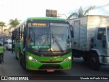 Setelagoano 1074 na cidade de Matozinhos, Minas Gerais, Brasil, por Vicente de Paulo Alves. Número da foto: #6000848.